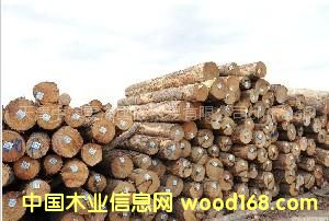 ���l(f��)������(y��u)�|(zh��)����ԭľ