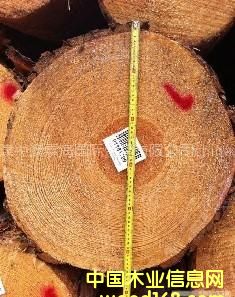 ���l(f��)������ľԭľ