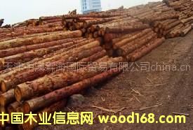 �������l(f��)���~��ԭľ