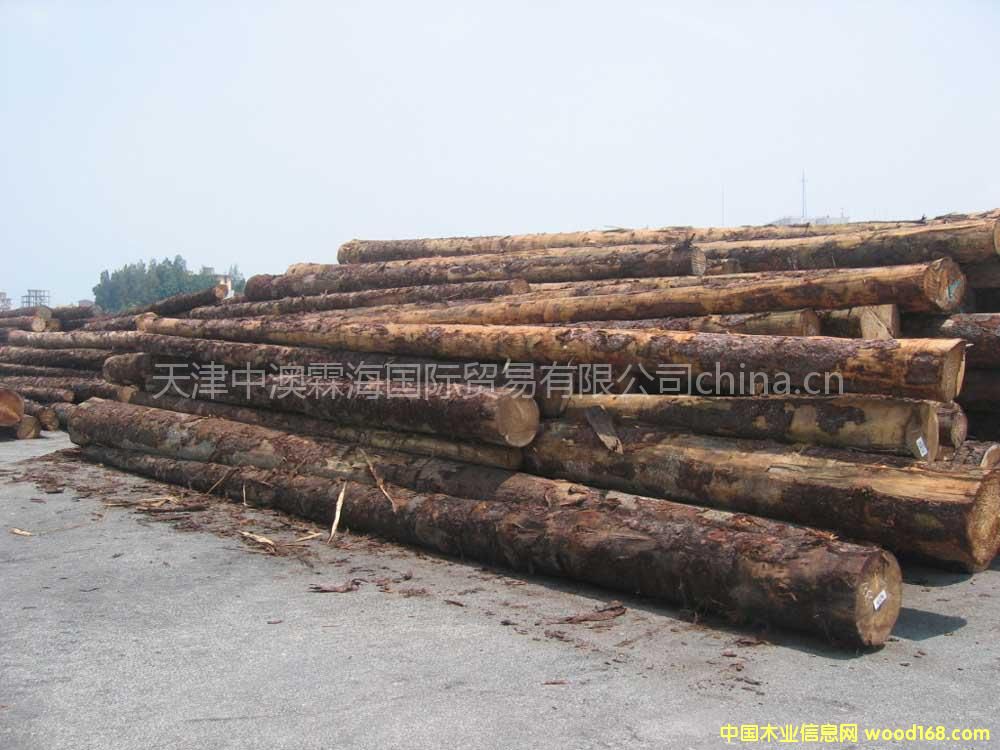 ������ľ���