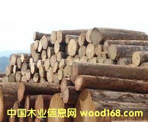 �������l(f��)ݗ����ԭľ