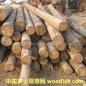 �������l(f��)����ԭľ