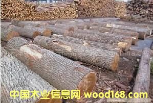 �������l(f��)������ԭľ