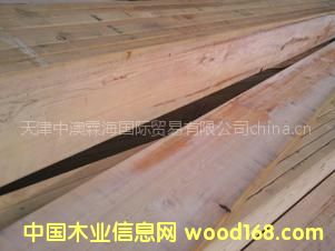 ���l(f��)���������������������