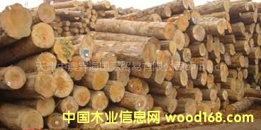 �������l(f��)����ԭľ