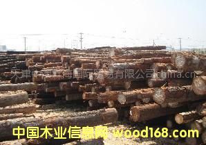 �������l(f��)�Fɼԭľ