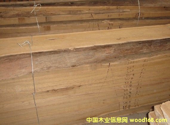 ������ľ