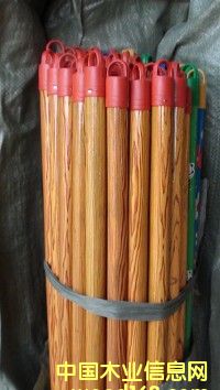 掃把柄的詳細(xì)介紹