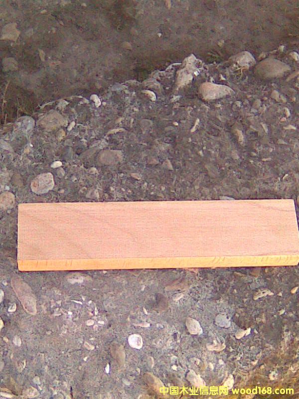 ��ľ���Ԕ��(x��)��B