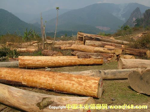 �uľ1��Ԕ����B