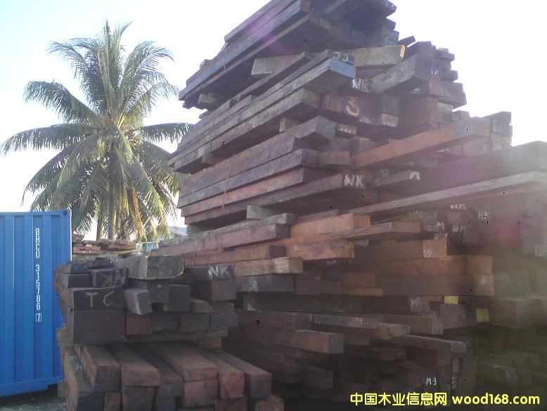 菠蘿格的詳細(xì)介紹