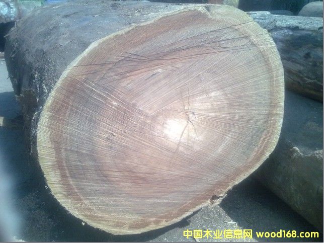 ����ľ��Ԕ����B