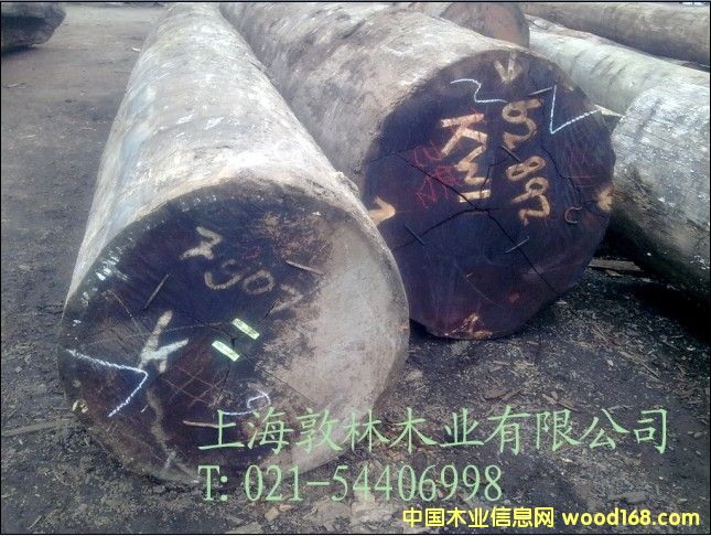 ӡ�Ფ�}���Ԕ����B