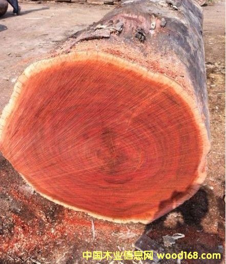 �ڂ��ҵ�Ԕ����B