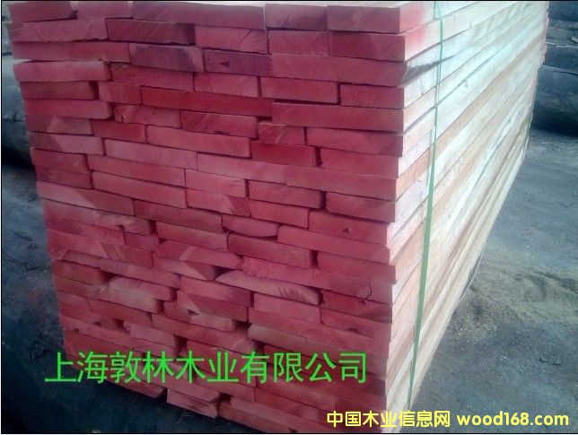 �t���Ұ�ĵ�Ԕ����B