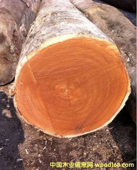 ���}���Ԕ����B