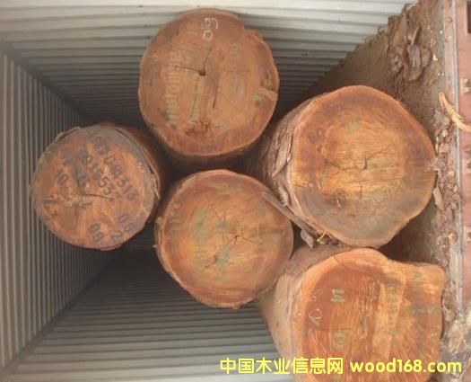 ������ľ��Ԕ��(x��)��B