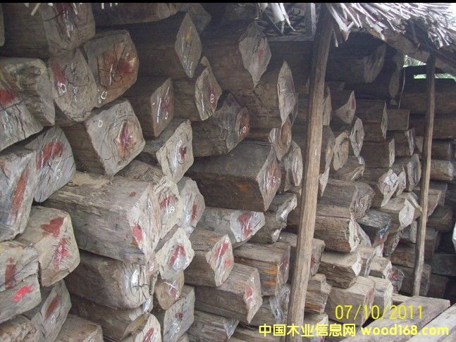 �R�_(d��)��˹���S̴������ɣ��������֦ ��Ԕ��(x��)��B