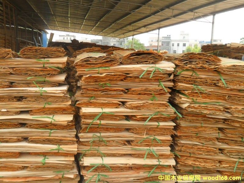 ��ľ�ΰ����(j��)