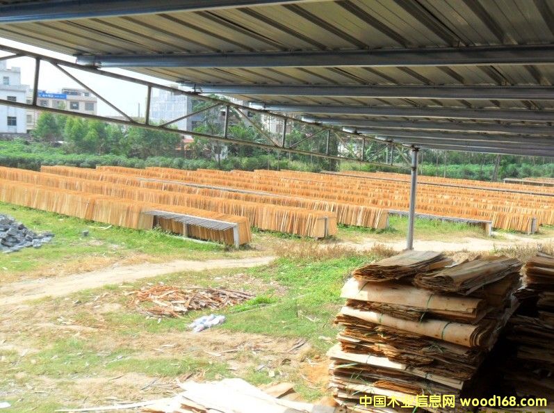 ��ľ�ΰ����(j��)