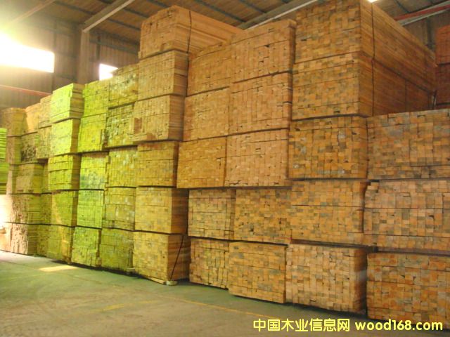 ���ô���ľ