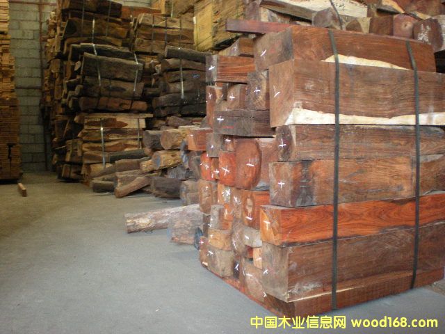 微凹黃檀的詳細介紹