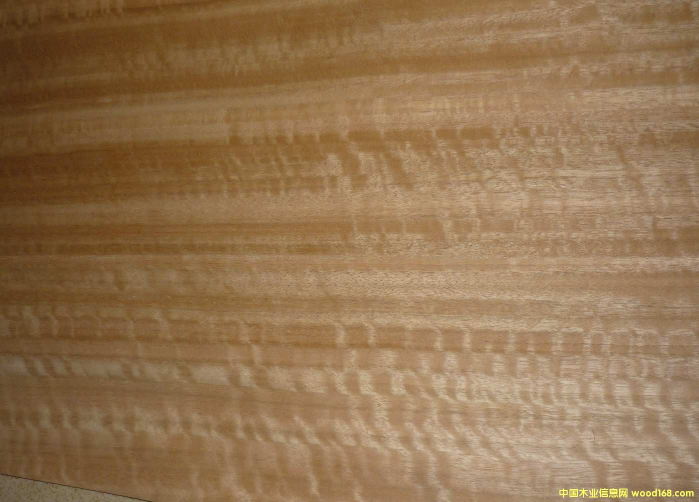 �ȼ���Ӱ��Ԕ��(x��)��B