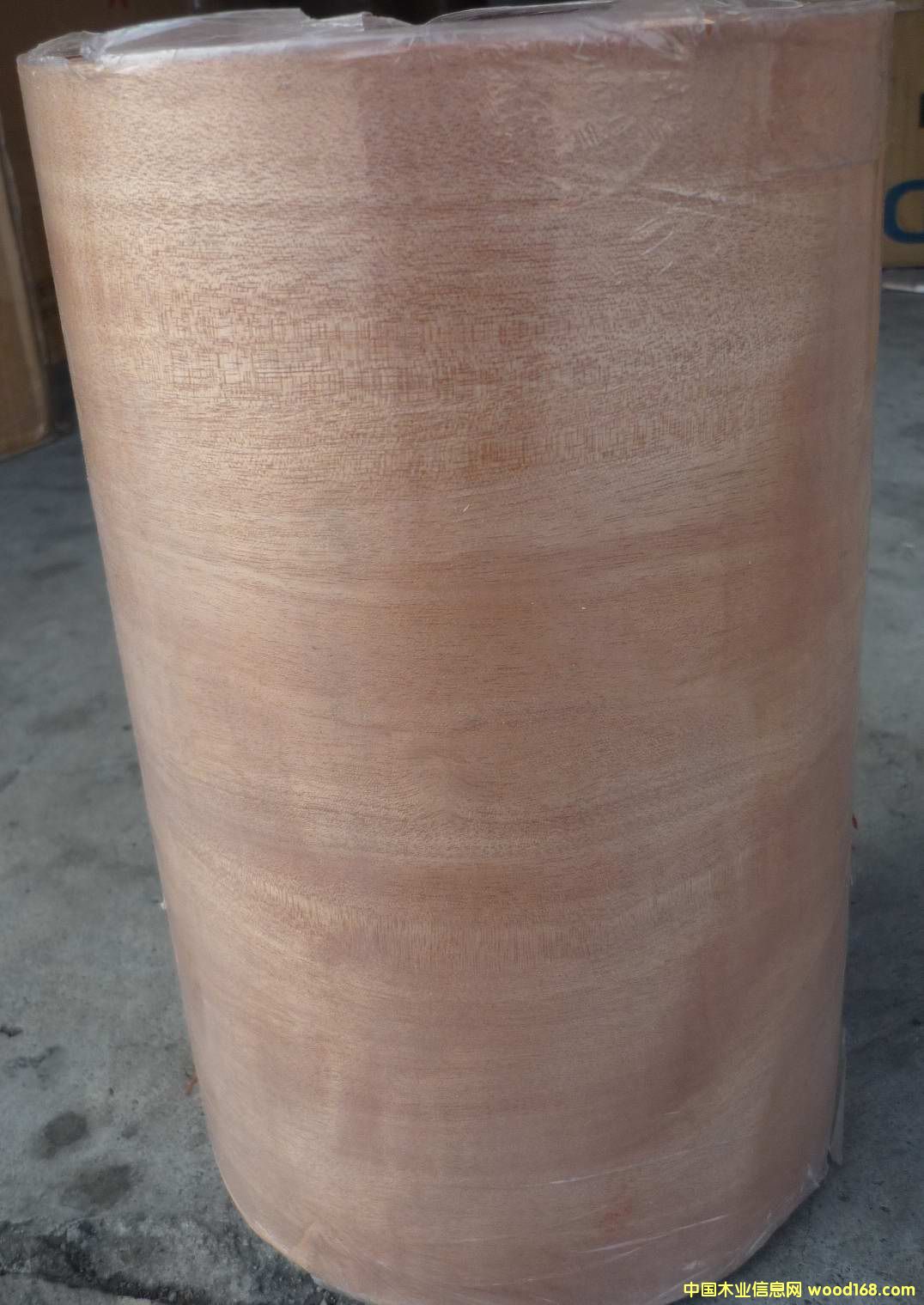 �t����ţƤ����Ԕ��(x��)��B