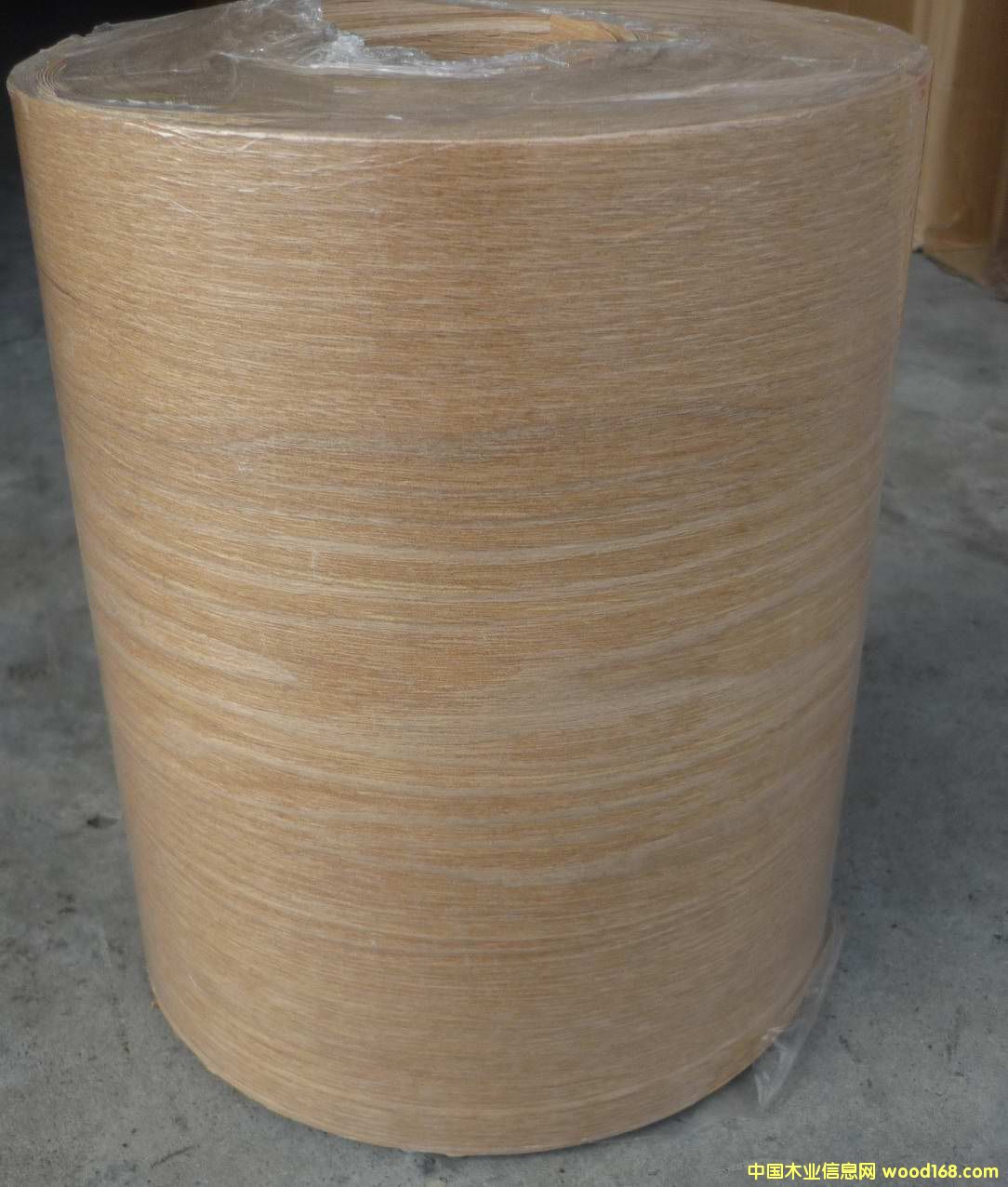 ˮ�����o����