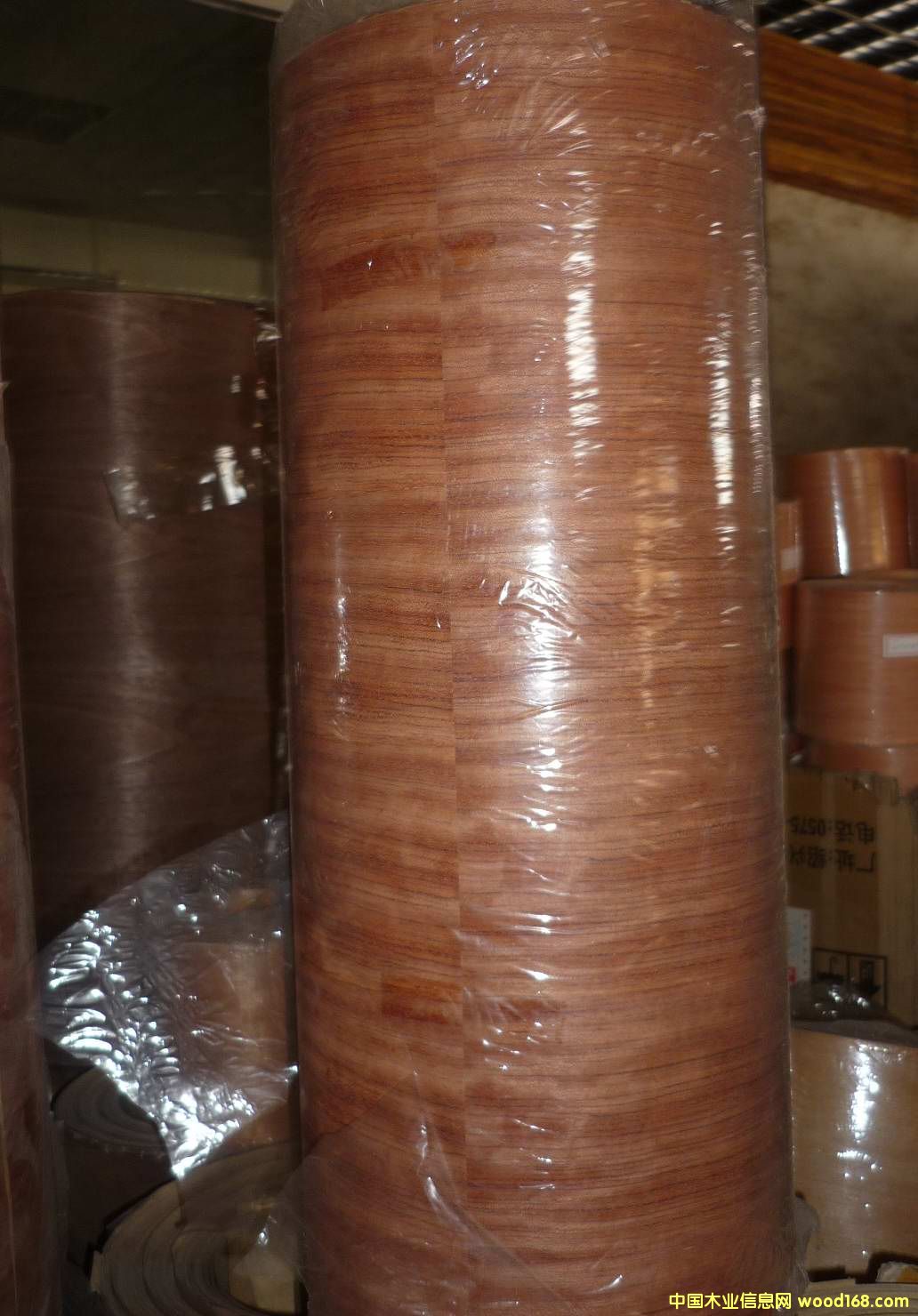 ����ţƤ����Ԕ��(x��)��B