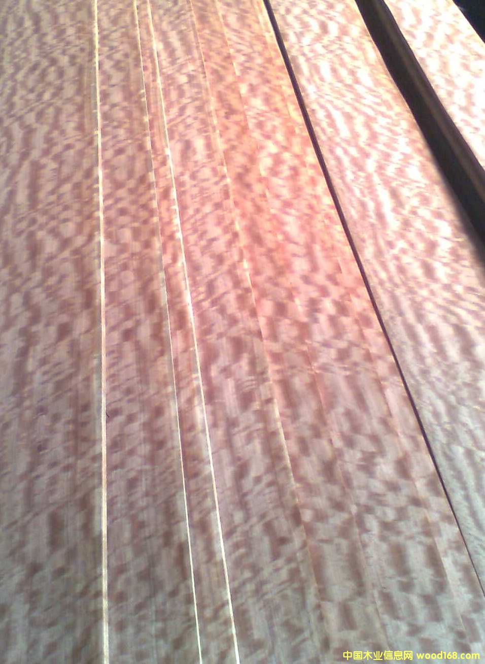 0.5���������KӰ