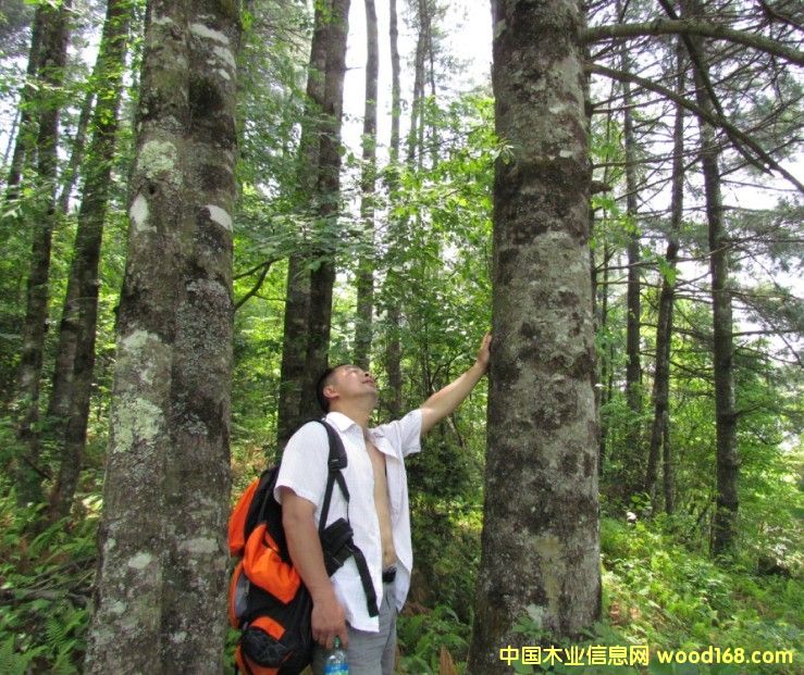 �Ĵ�ʡ�VԪ���ɘ�(sh��)��ˮ����11000����(sh��)���D(zhu��n)׌��Ԕ��(x��)��B