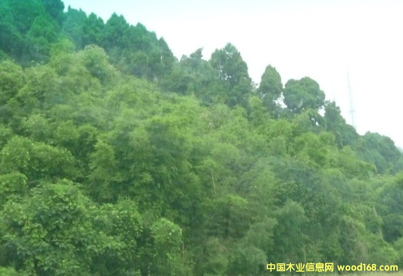 �Ĵ�ʡ�ɶ�2800�஀�ֵ��D(zhu��n)׌��Ԕ��(x��)��B