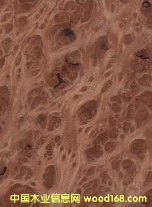 �L(zh��ng)�~���研(�tľ��(sh��)��)��Ԕ��(x��)��B