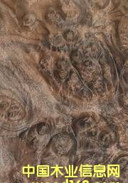 �ں��Ҙ�(sh��)����Ԕ��(x��)��B