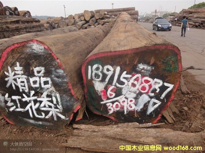 紅花梨的詳細(xì)介紹