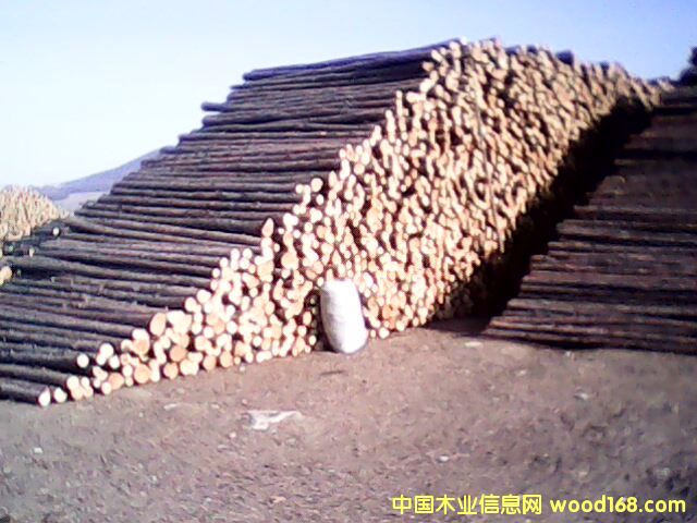 �c���鿴�t�� ���~�� ������ ܛӲ�s�� �Ŵ�DƬ