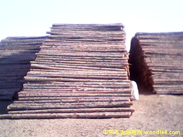 �c���鿴�t�� ���~�� ������ ܛӲ�s�� �Ŵ�DƬ