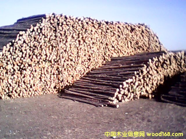 �c���鿴�t�� ���~�� ������ ܛӲ�s�� �Ŵ�DƬ