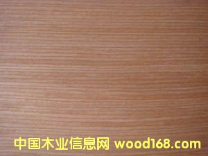 ���� 504��Ԕ����B