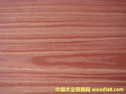 ������ 2260C