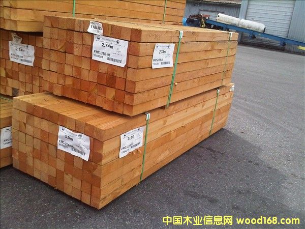 �Fɼ䏲ĵ�Ԕ��(x��)��B