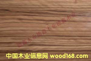 �߹��R������