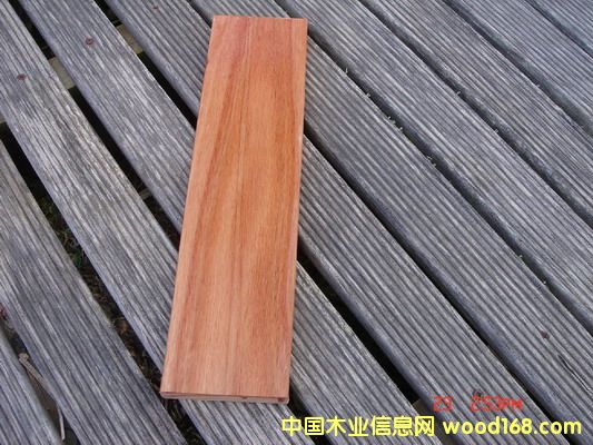 100%FSC�J(r��n)�C Karri Wood���t��