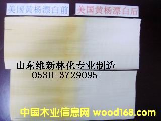 黃楊木漂白圖片 黃楊木漂白圖片