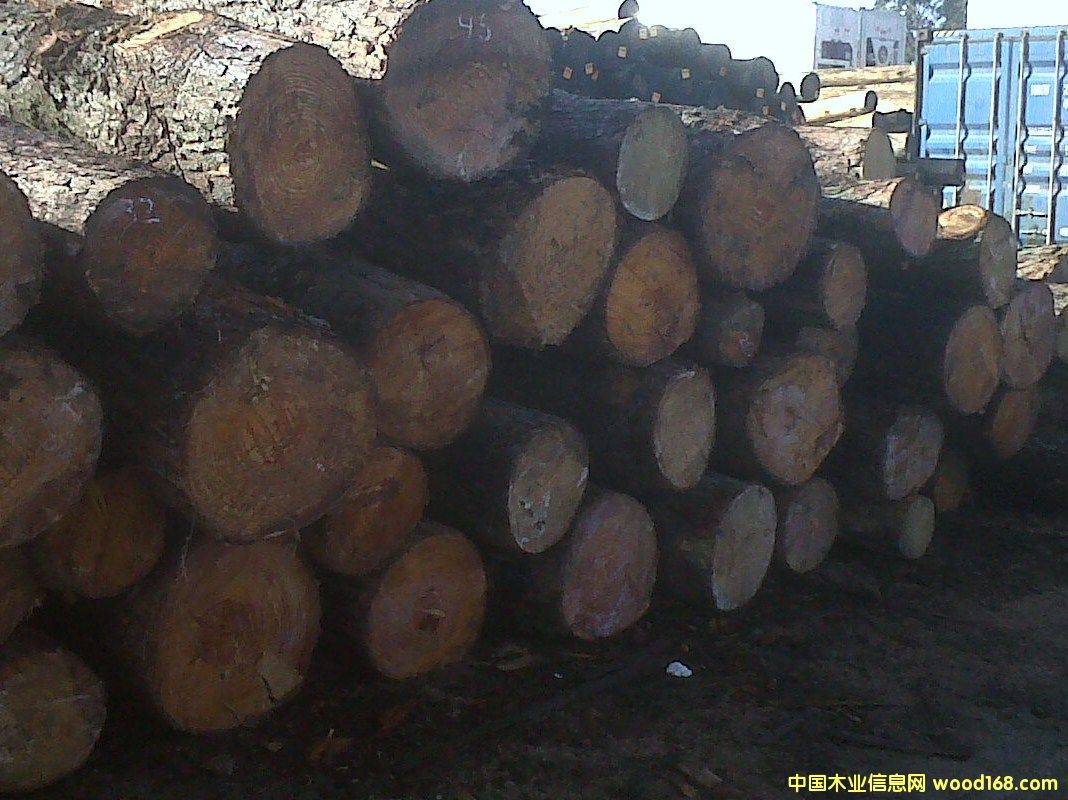 ����������/�����