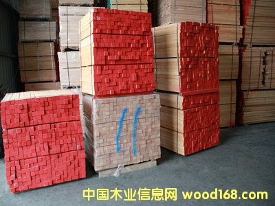 歐洲櫸木 歐洲櫸木