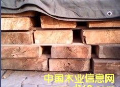 ��(gu��)�a(ch��n)�t�ɰ��