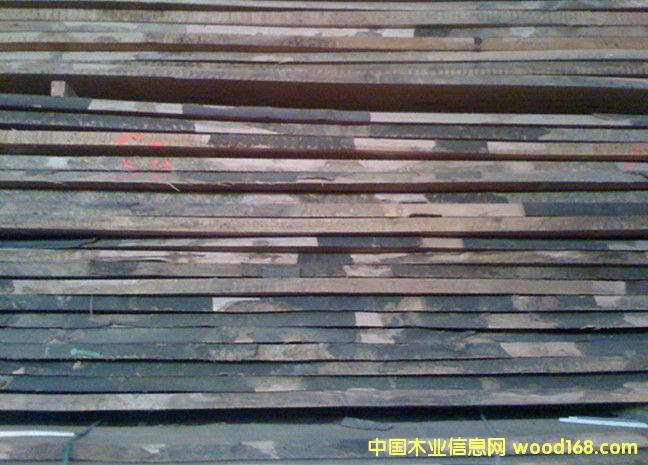 ��ľë߅���Ԕ����B