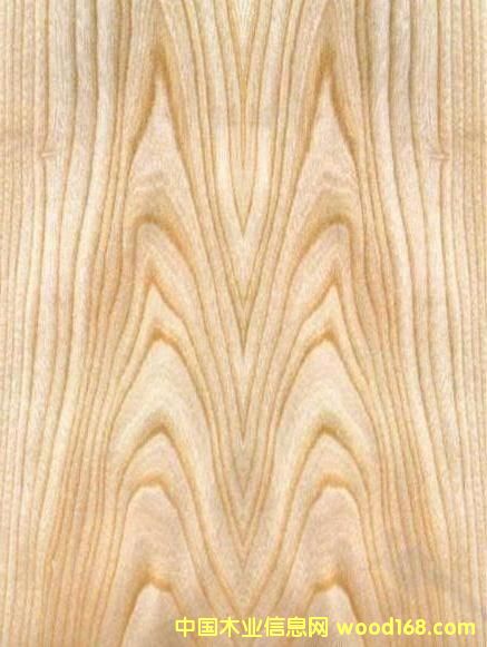 FSCˮ������Ԕ����B